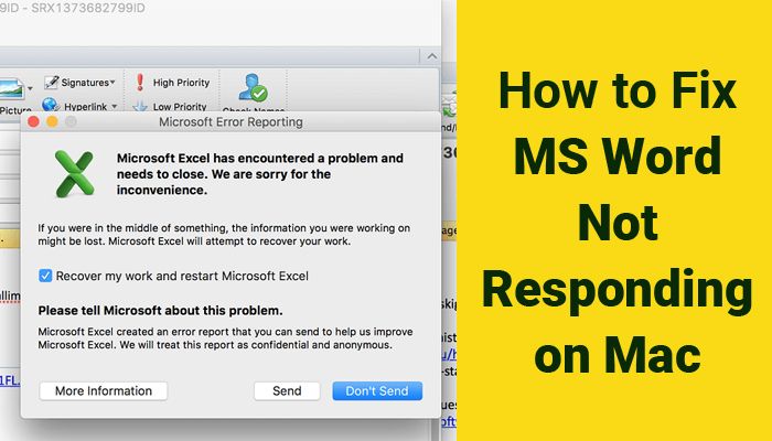 4 Ways to fix Microsoft Word not Responding on Windows & Mac