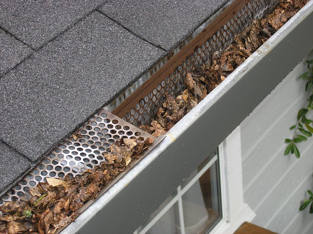 Important Tips For Gutter Cleaning Services Perth