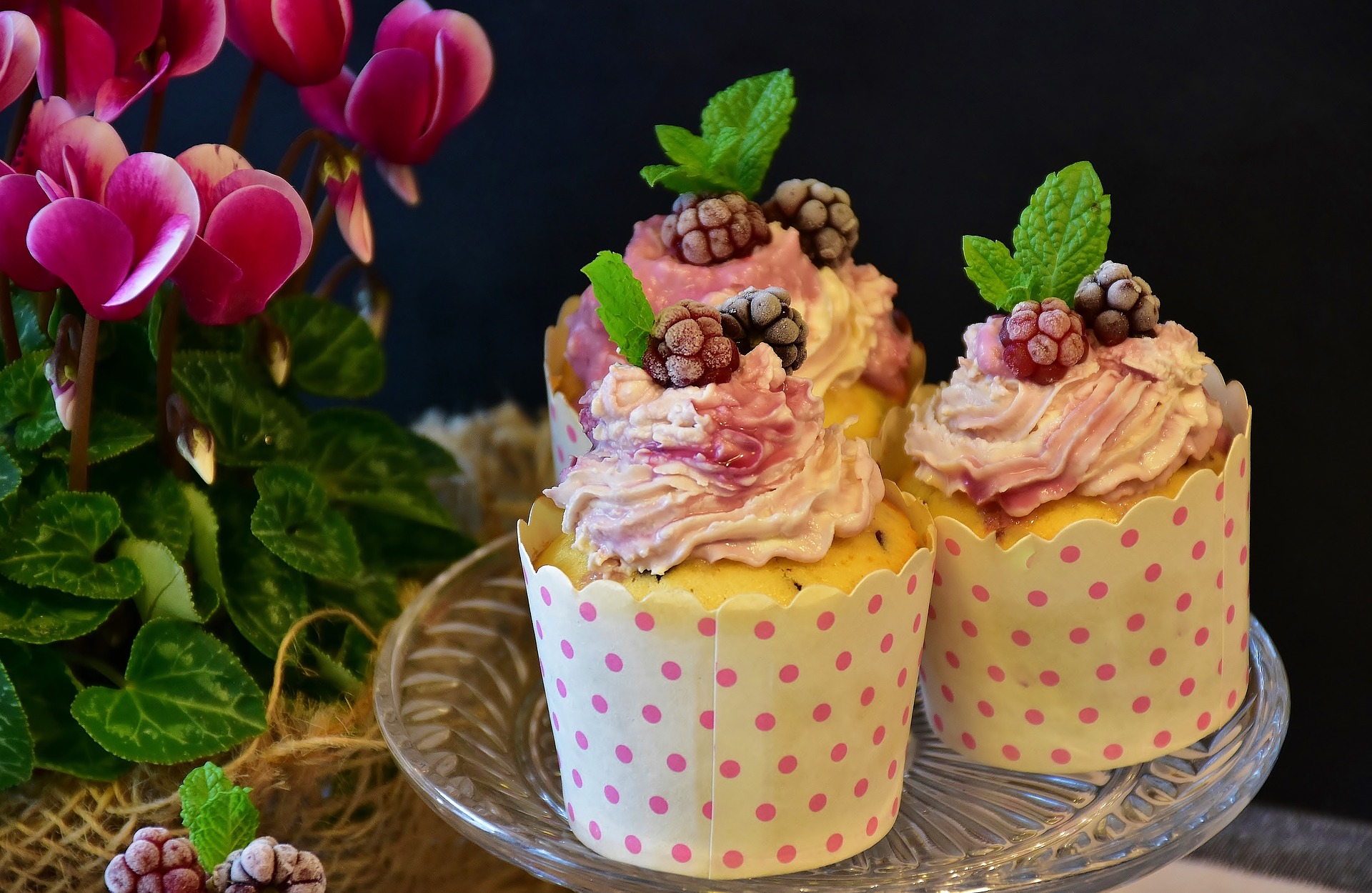 How to Prepare Cupcakes at Your Home and Generate Business?
