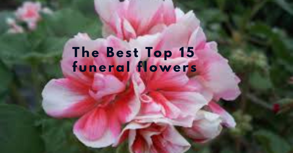 The Best Top 15 funeral flowers To Show Your Wishes