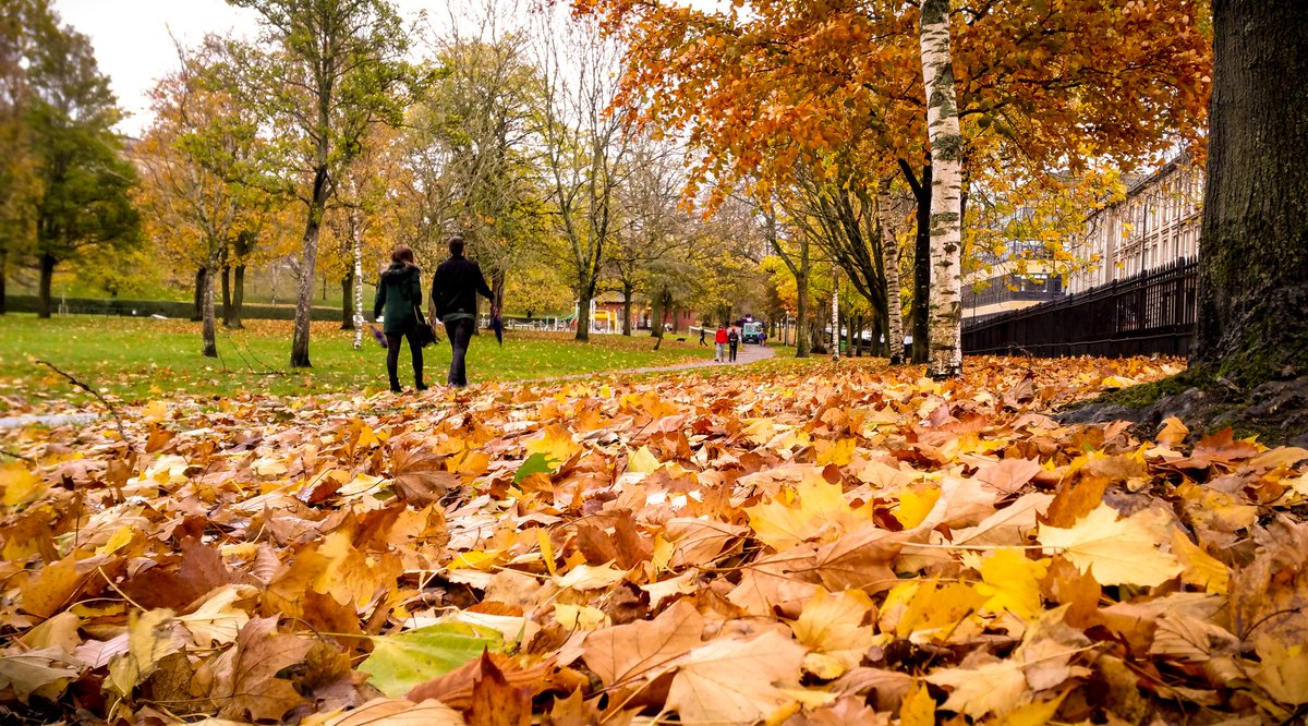 7 Reasons Why Autumn Is The Perfect Time To Visit Glasgow