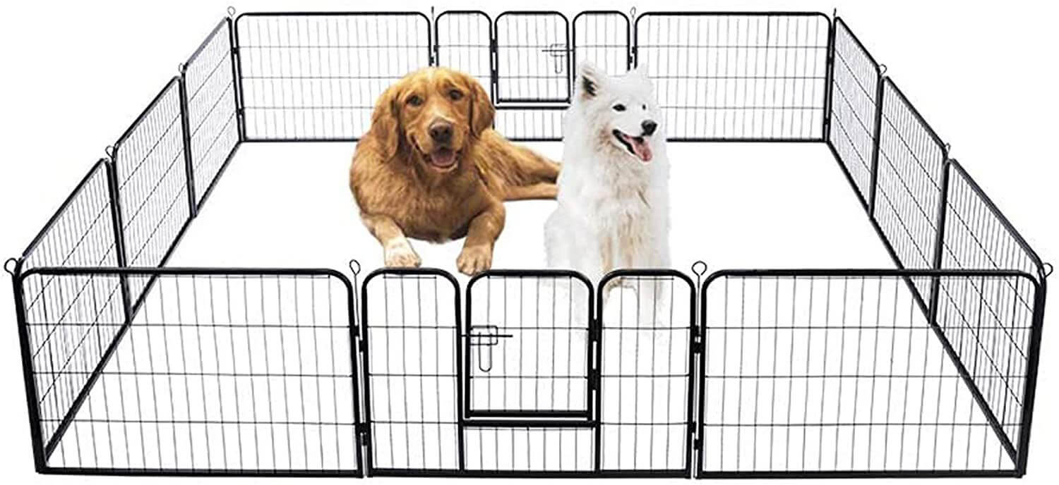 3 Questions to Ask Before Buying the Appropriate Dog Fence at Home