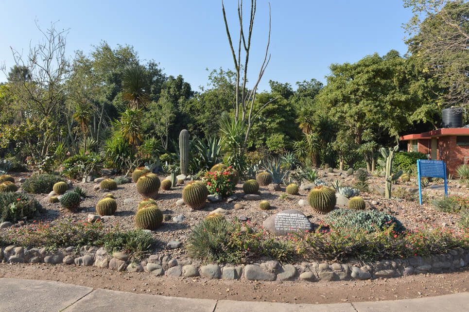 Cactus Garden, Panchkula