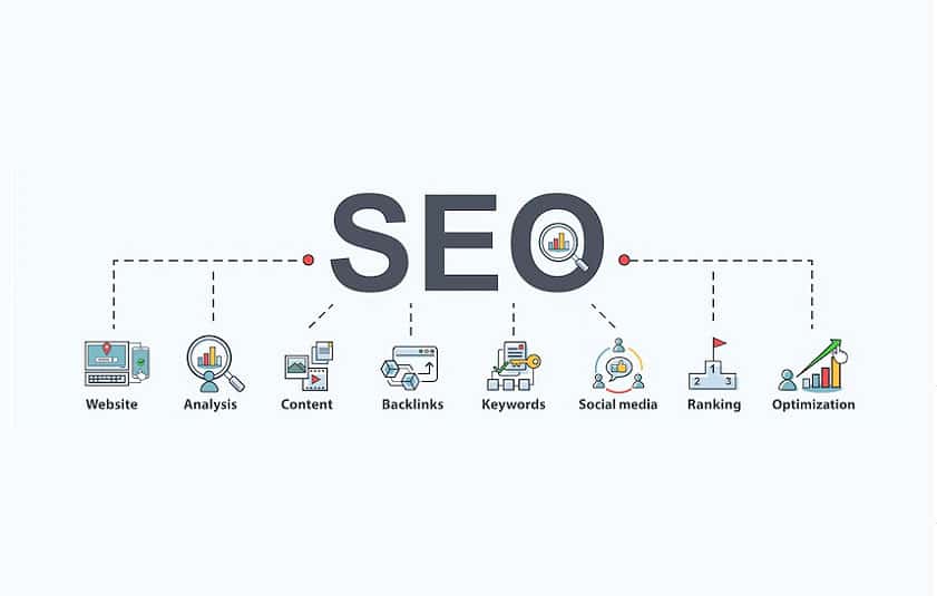 Here are some of the reasons why Primelis is considered one of the best SEO companies