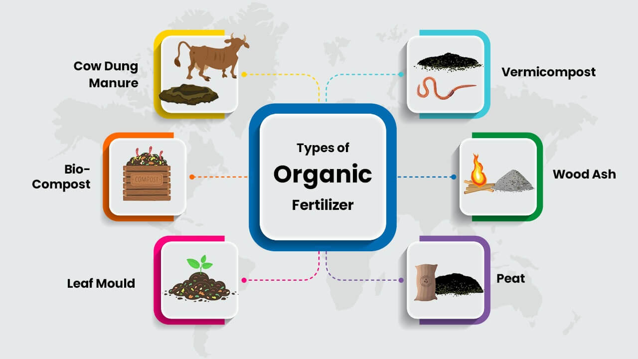Different Types of Organic Compost